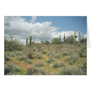 Cactus Pastoral Sweep Greeting Card or Note Card