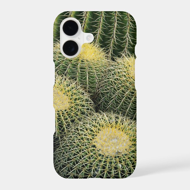 Cactus Pattern (Back)