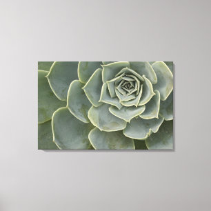 Cactus pattern canvas print