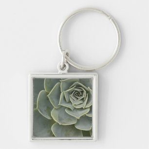 Cactus pattern keychain