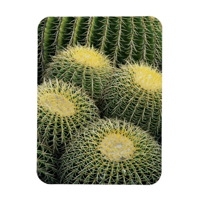 Cactus Pattern Magnet (Vertical)