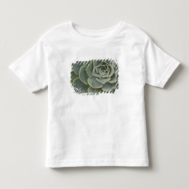 Cactus pattern toddler t-shirt (Front)