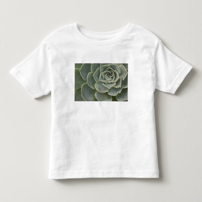 Cactus pattern toddler t-shirt (Front)