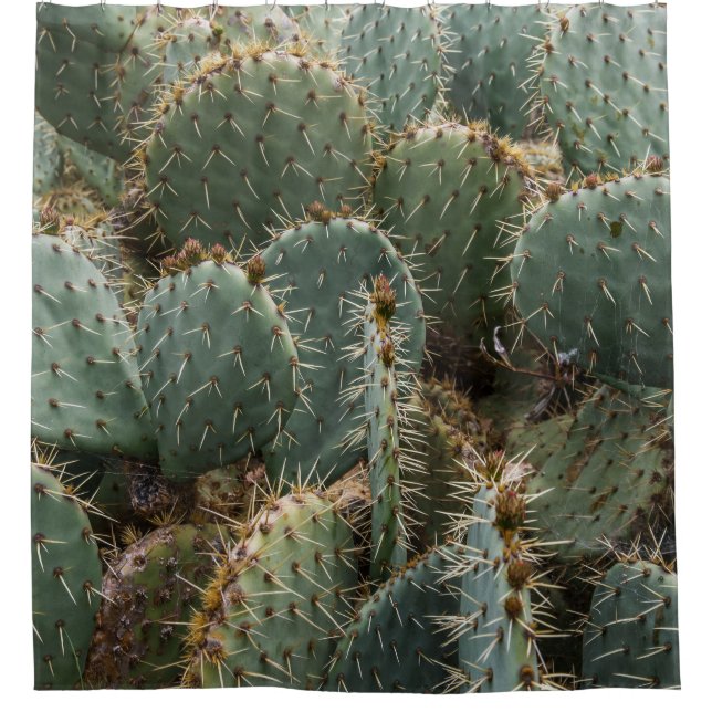 Cactus pattern: trendy Opuntia ficus-indica. (Front)
