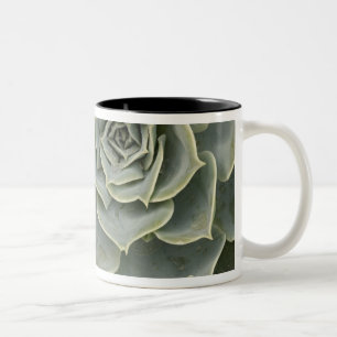 Cactus pattern Two-Tone coffee mug