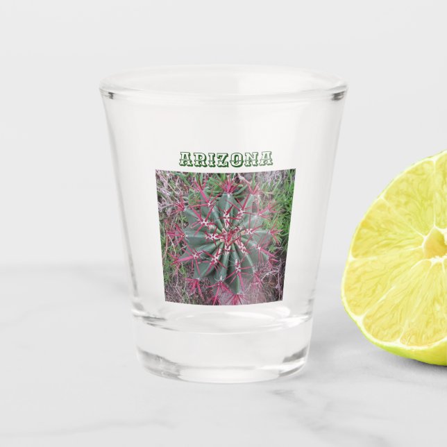 Cactus Photo Barrel Cacti Desert Plant Southwest  Shot Glass (Front)