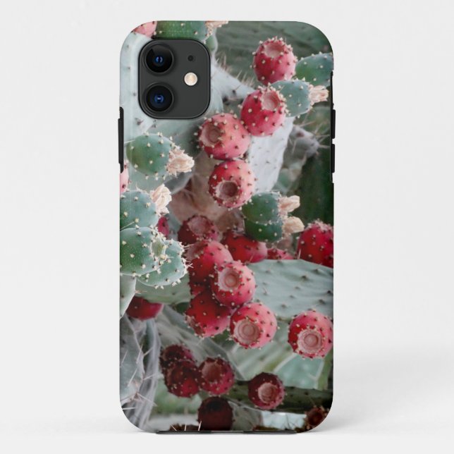 Cactus photo iPhone SE + iPhone 5/5S Case-Mate iPhone Case (Back)