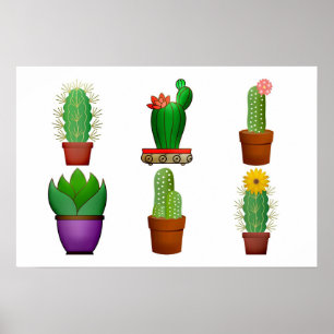 Cactus Plant Background Poster