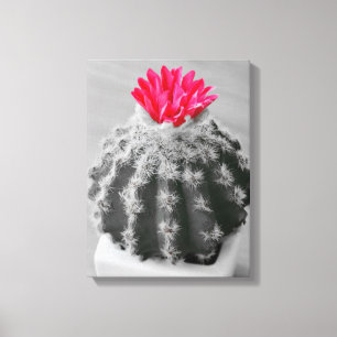 Cactus Plant  Black White Photo With Pink Flower Canvas Print