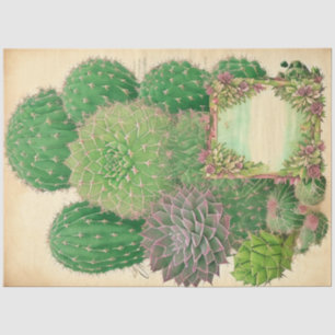 Cactus Plant Ephemera Collage Art No7 Tissue Paper