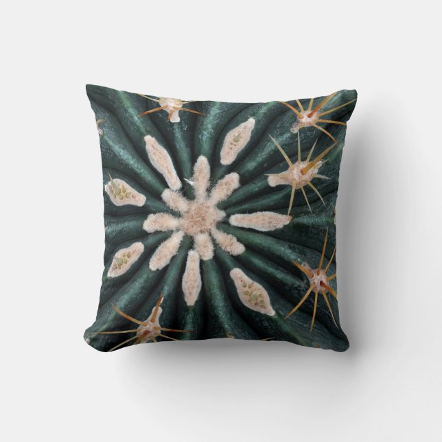 Cactus Plante Photo Coussin à lancer 41 cm x 41 cm (Recto)