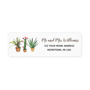 Cactus Plantes Succulent Adresse de retour