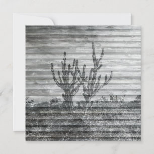 Cactus Plants On Wood Planks Black And White Photo Card