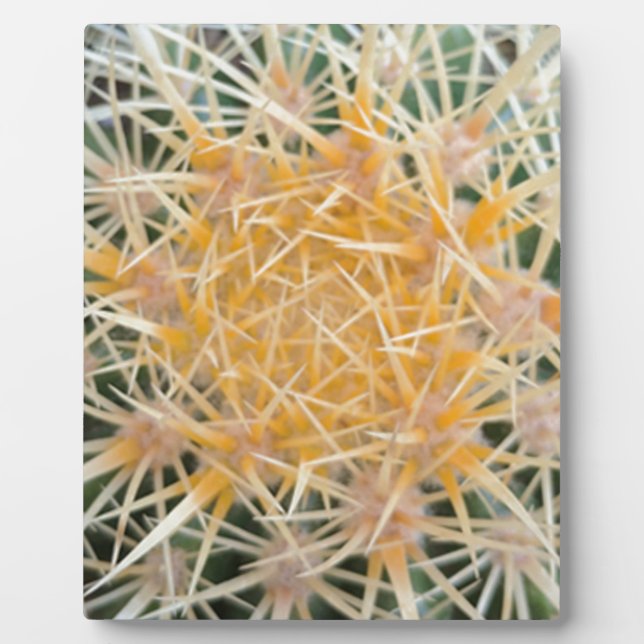 Cactus Plaque (Front)