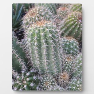 Cactus Plaque