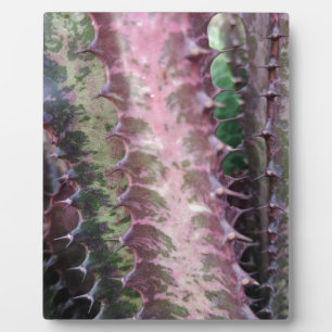 Cactus Plaque