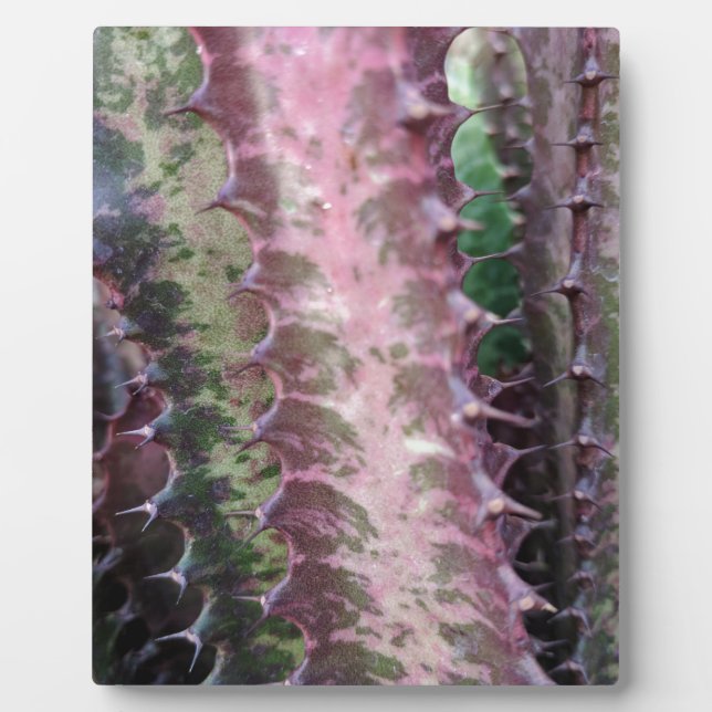 Cactus Plaque (Front)
