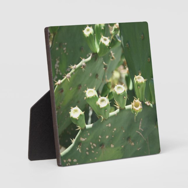 Cactus Plaque (Front)
