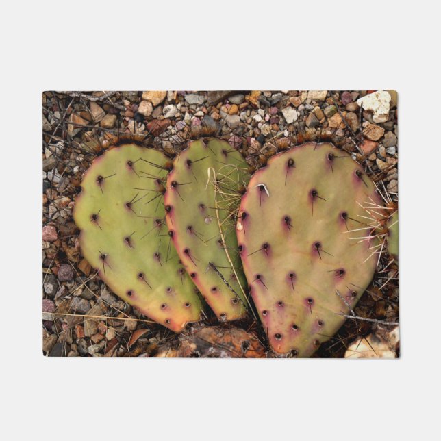 Cactus Portrait Doormat (Front)