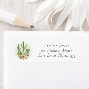 Cactus Pots Fleur Aquarelle Succulents Adresse