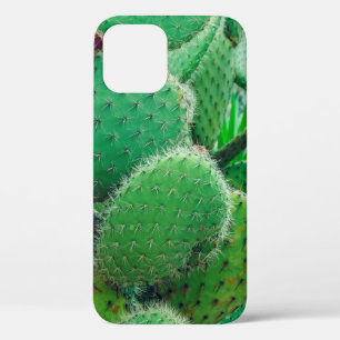 Cactus, prickly pear cactus ,cactus spines, close  iPhone 12 case