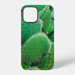 Cactus, prickly pear cactus ,cactus spines, close  iPhone 12 case