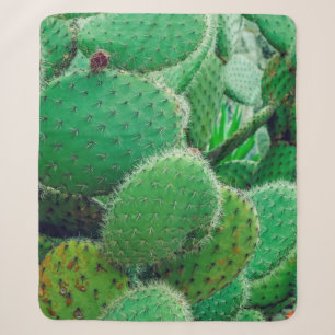 Cactus, prickly pear cactus ,cactus spines, close sherpa blanket