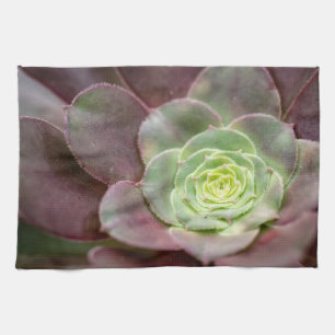 Cactus Print A Desert Cactus Flower Kitchen Towel