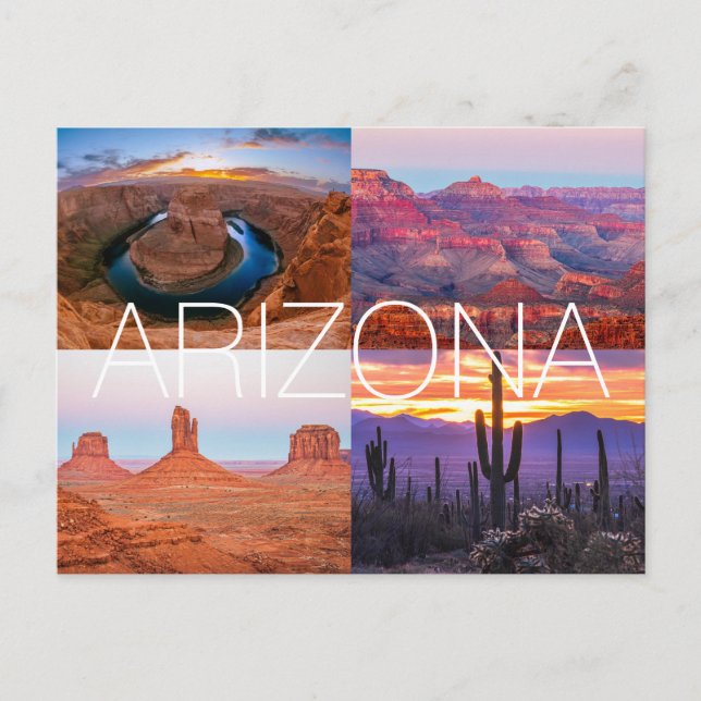 Cactus Red Rock Sunset Nature Landscapes Arizona Postcard (Front)
