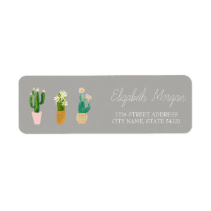 Cactus romantiques chic plantés