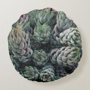Cactus Round Pillow