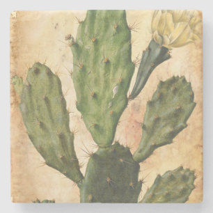 cactus rustic vintage stone coaster