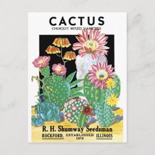 Cactus Seed Package Postcard
