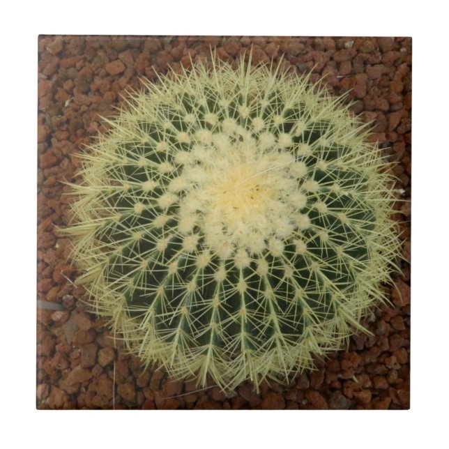 Cactus Small (4.25" x 4.25") Ceramic Photo Tile (Front)