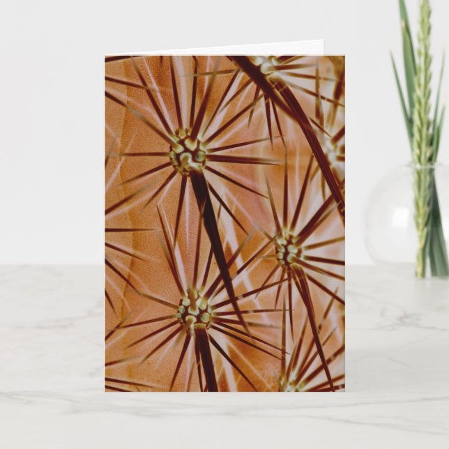 Cactus Spines Greeting Card (Front)