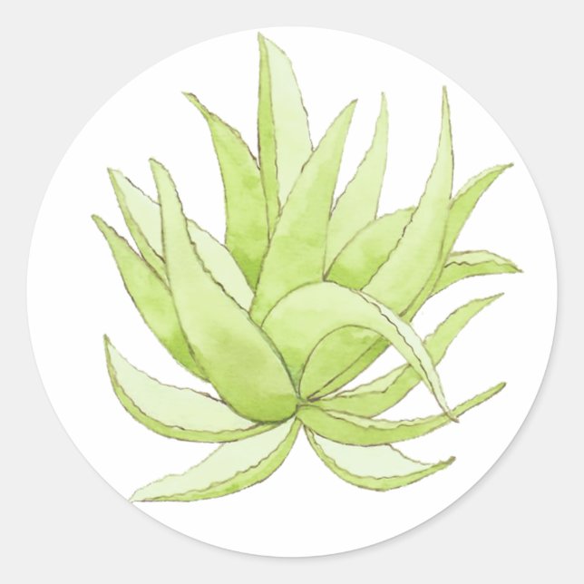 cactus sticker aloe vera (Front)