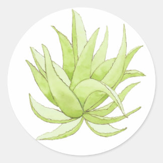 cactus sticker aloe vera