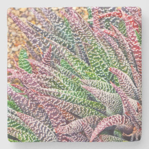 "CACTUS" STONE COASTER