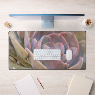 Cactus Succulent Gros plan de travail du bureau d'
