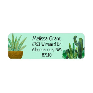 Cactus, Succulents, À Partir, Artisanat, Retour
