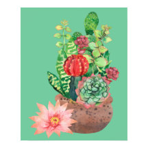 Cactus, Succulents, Cactus Flower, Arrangement