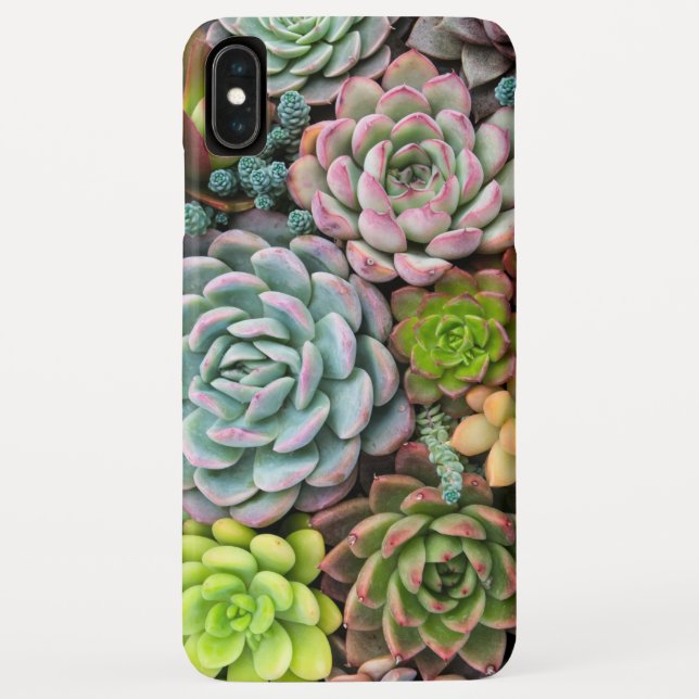 Cactus Succulents phone cases (Back)