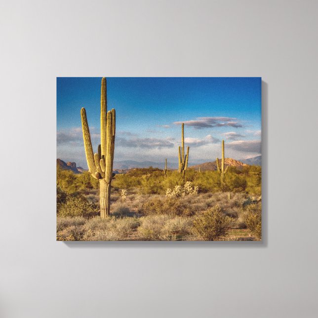 Cactus Sunset in Arizona Canvas Print (Front)