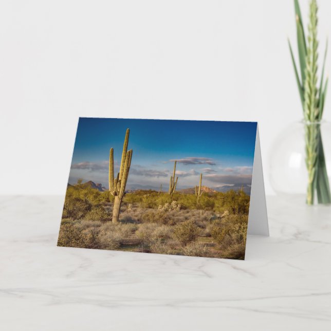 Cactus Sunset in Arizona Card (Front)