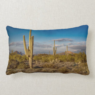 Cactus Sunset in Arizona Lumbar Pillow