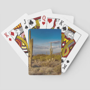 Cactus Sunset in Arizona Playing Cards