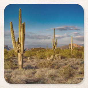 Cactus Sunset in Arizona Square Paper Coaster