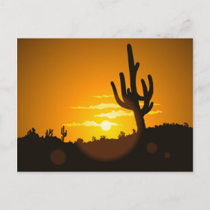 Cactus Sunset Postcard