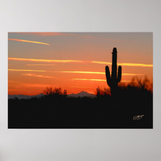 Cactus Sunset Print