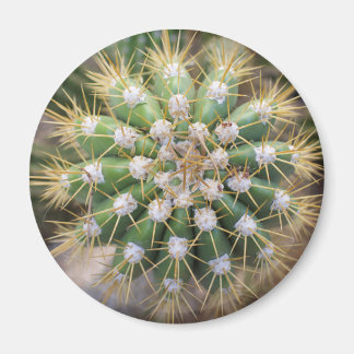 Cactus Top Magnet